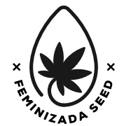 semillas feminizadas